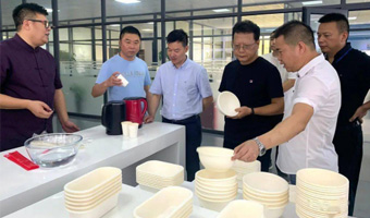 Entdecken Sie aktiv neue Umweltschutzmittel neue Materialien